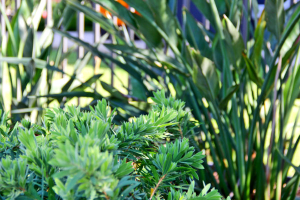 Core Landscape Group